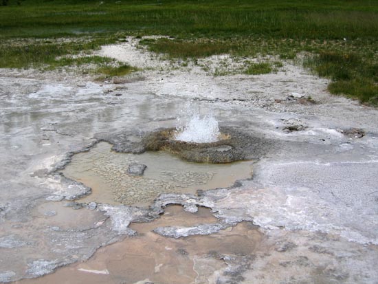 2006 family reunion in Yellowstone National Park